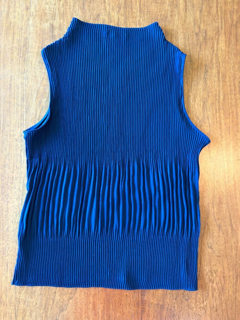 Naked Zebra - Blue - Large